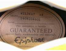 Epiphone Wildkat (92570)