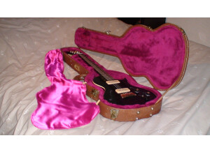 Gibson BluesHawk (34335)