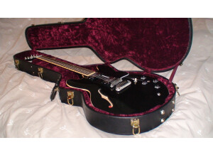 Gibson BluesHawk (77098)