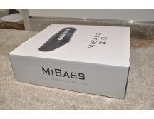 Ashdown MiBass 2.0 (71223)