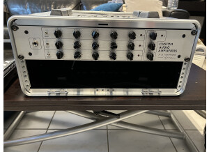 Custom Audio Electronics 3 + SE (77132)