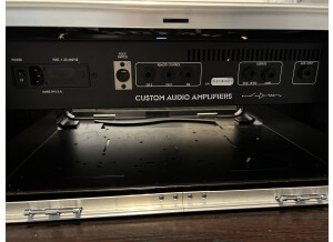 Custom Audio Electronics 3 + SE (10116)