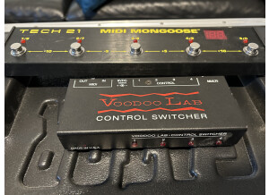 Custom Audio Electronics 3 + SE (80049)