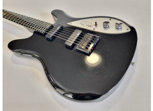 Rickenbacker 230 Glenn Frey (4560)