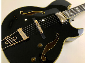 Ibanez PM100 Pat Metheny Signature (56026)