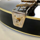 PM100 Pat Metheny Signature PM100 Pat Metheny Signature