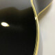 PM100 Pat Metheny Signature PM100 Pat Metheny Signature