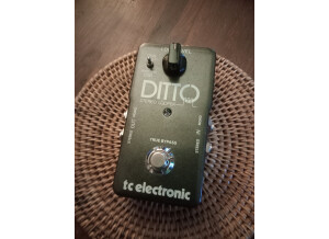 TC Electronic Ditto Looper (79338)