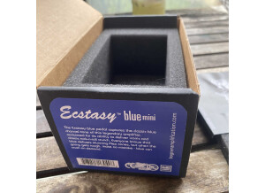 Bogner Ecstasy Blue Mini