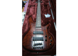 Ibanez SR905 - Charcoal Brown Flat