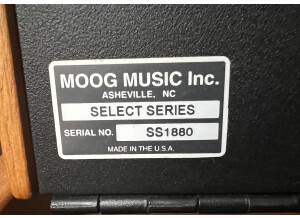Moog Music Minimoog Voyager Select Series
