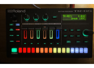 Roland TR-6S Rhythm Performer (8048)