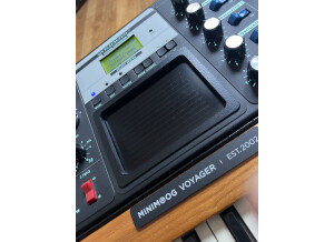 Moog Music Minimoog Voyager (44253)