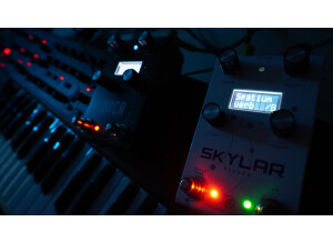 GFI System Orca (77863)