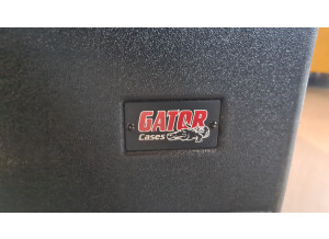 Gator Cases GRR-10L