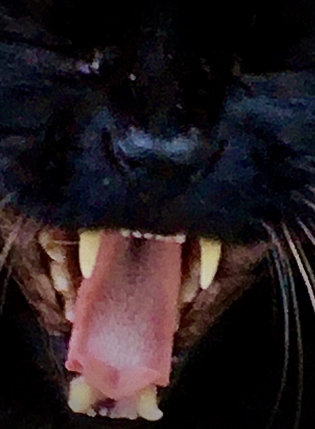 5982601.jpg 5982601.jpg