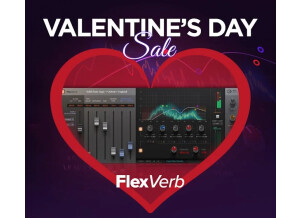 flexverbpromo