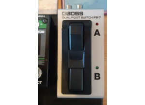 Boss FS-7 Dual Footswitch (70815)