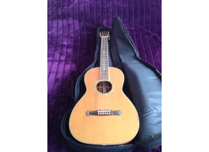 Cort Earth 900 (24004)