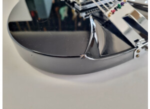 Rickenbacker 355JL (84877)