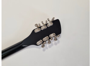 Rickenbacker 355JL (80163)