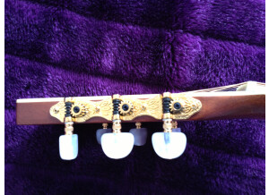 Cort Earth 900 (87123)