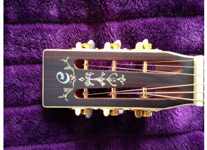 Cort Earth 900 (39760)