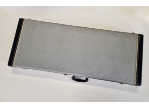 Rickenbacker 370/12 (62484)