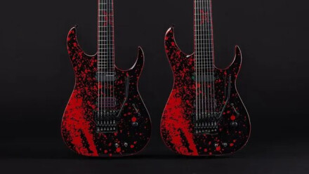 vignetteSCHECTER vignetteSCHECTER