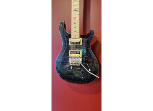 PRS SE "Floyd" Custom 24 (741)