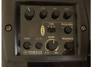 Yamaha APX1200II