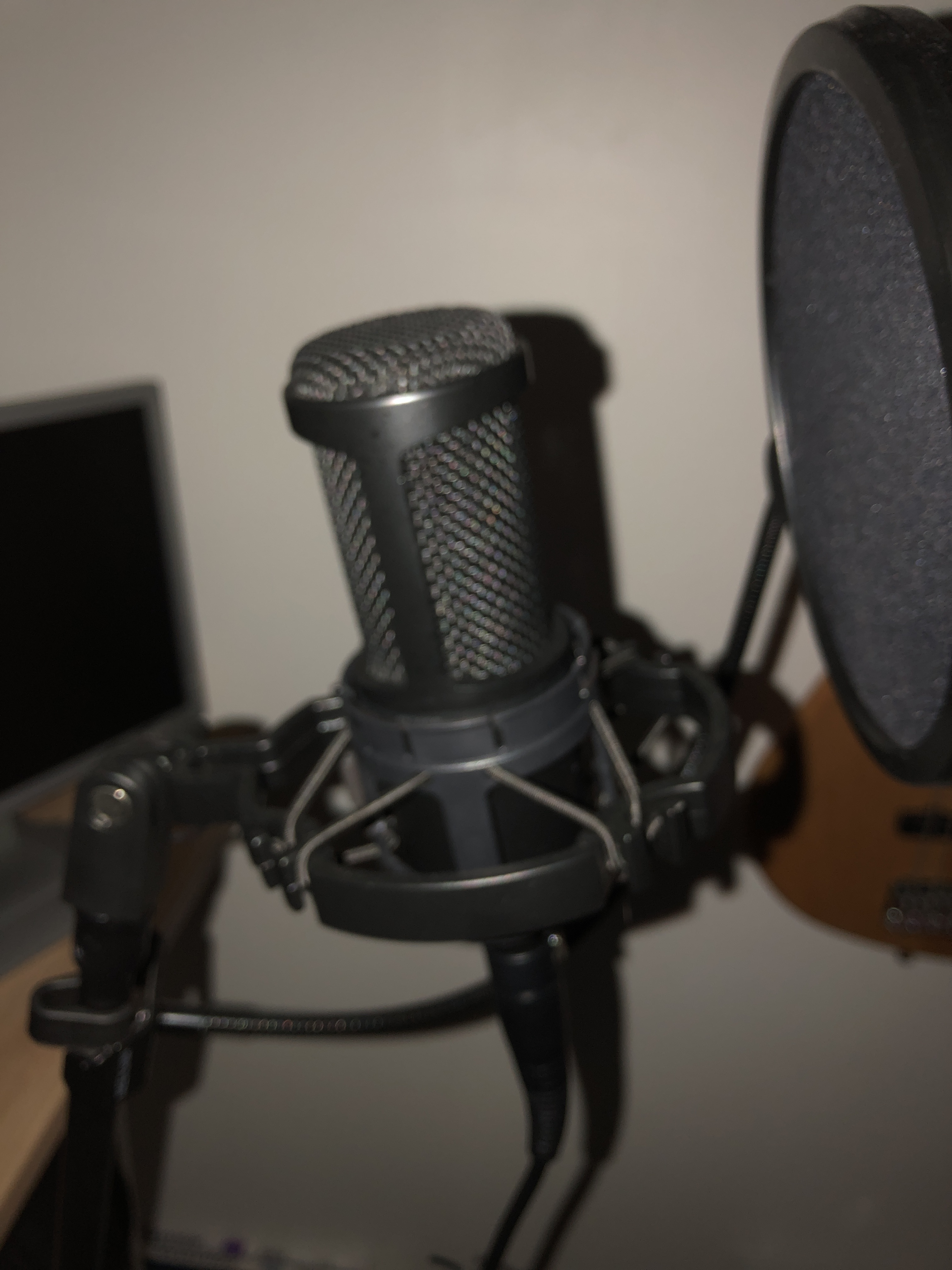 Audio-Technica AT2020