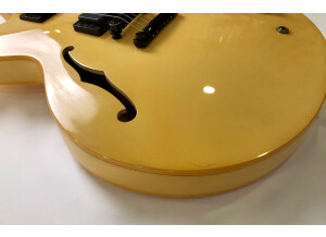 Gibson ES-335 Showcase Edition (15301)