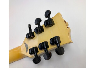 Gibson ES-335 Showcase Edition (10446)