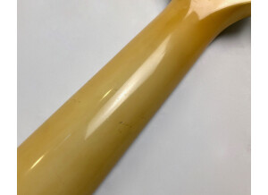 Gibson ES-335 Showcase Edition (28189)