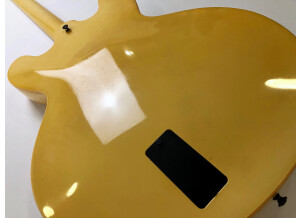 Gibson ES-335 Showcase Edition (44512)