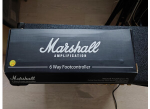 Marshall DSL40CR (90662)