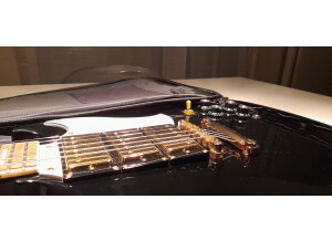 CORDIER CHEVALET ET MICROS