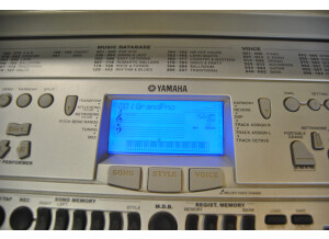 Yamaha PSR-450 (77596)