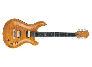 Michael Kelly Guitars Valor Custom