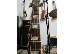 423737995 698200595836005 4302139261929604815 n