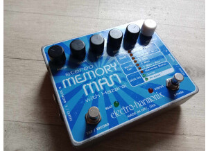Electro-Harmonix Stereo Memory Man with Hazarai (9876)