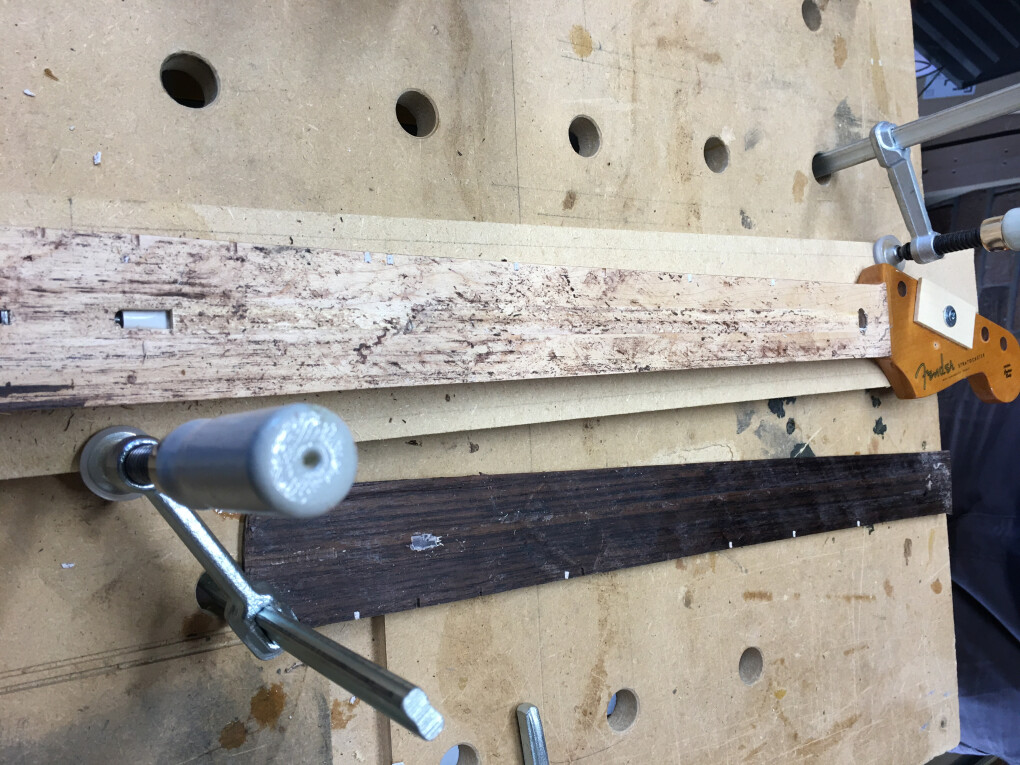 5989673.jpeg 5989673.jpeg