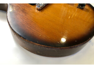 Gibson Les Paul Special (53341)