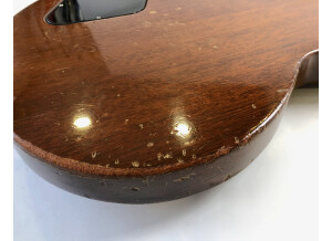 Gibson Les Paul Special (23981)