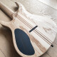 Regius Custom Shop 7 Regius Custom Shop 7