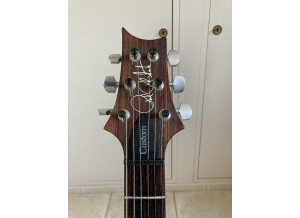 PRS Custom 24 Birds