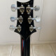 Custom 24 Birds Custom 24 Birds