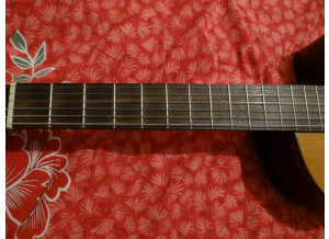 Alhambra Guitars 3 C CW E1 (27570)