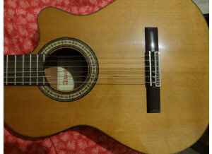 Alhambra Guitars 3 C CW E1 (65059)